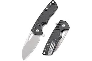 REMETTE RT-Seahorse Pocket Folding Knife, 2.80" Sheepsfoot D2 Steel Blade G10 Handle Small EDC Knives with Pocket Clip for Men Women,Sharp Indoor Outdoor Hiking Knife
