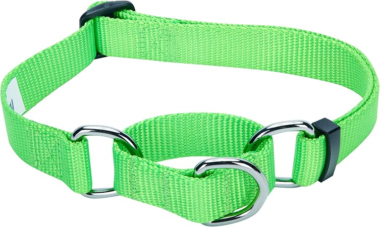 personalized martingale dog collars