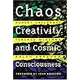 Chaos, Creativity, and Cosmic Consciousness