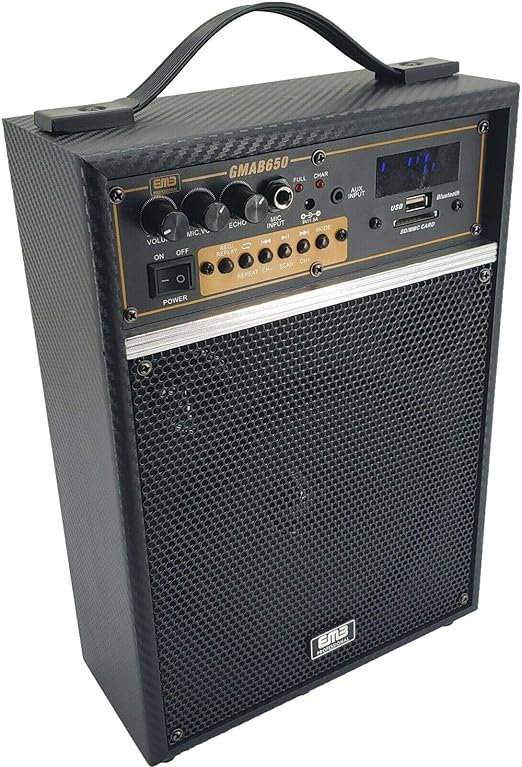EMB 300 Watts Peak Power Rechargeable Guitar Amplifier