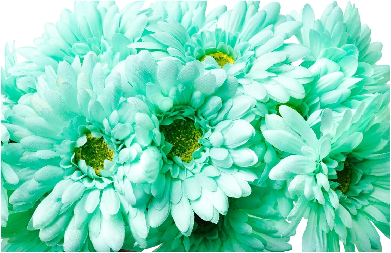 CraftMore Mint Colored Gerbera Daisy Stems 14 Inch Set of