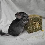 Rosewood I Love Hay Forage Cube Small Animal Treat Pack of 2 Medium view 2