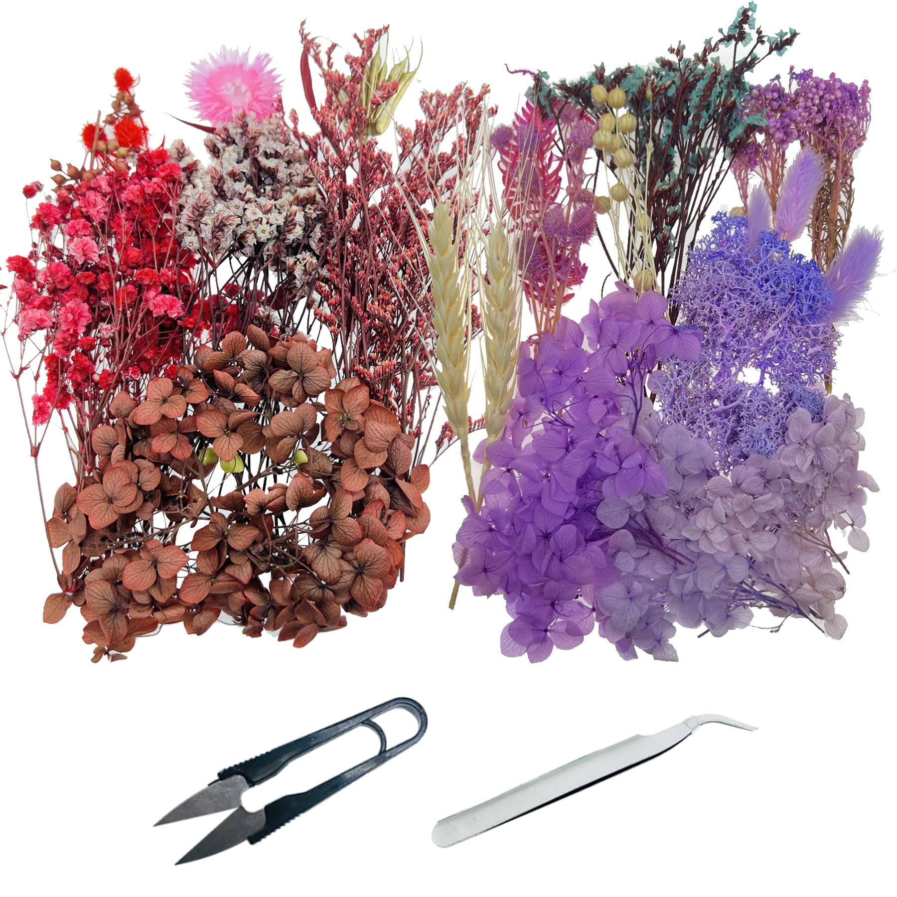 Cayway 2 Packs Natural Dried Flowers, Real Dried Pressed Flowers, Multiple Pressed Dry Flowers with Tweezers, Scissors for DIY Candle Resin Jewelry Nail Pendant Crafts Art Floral Decoration