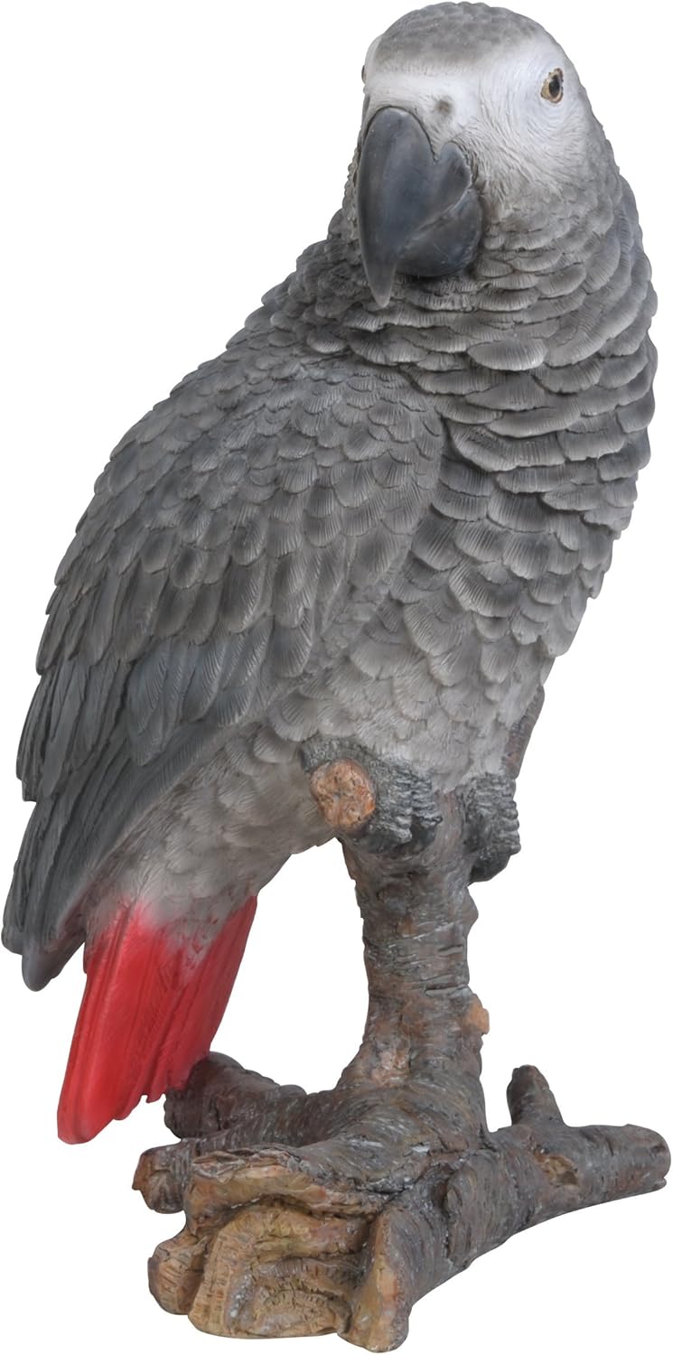 Vivid Arts XRL-AFGP-D African Parrot Resin Ornament - Grey