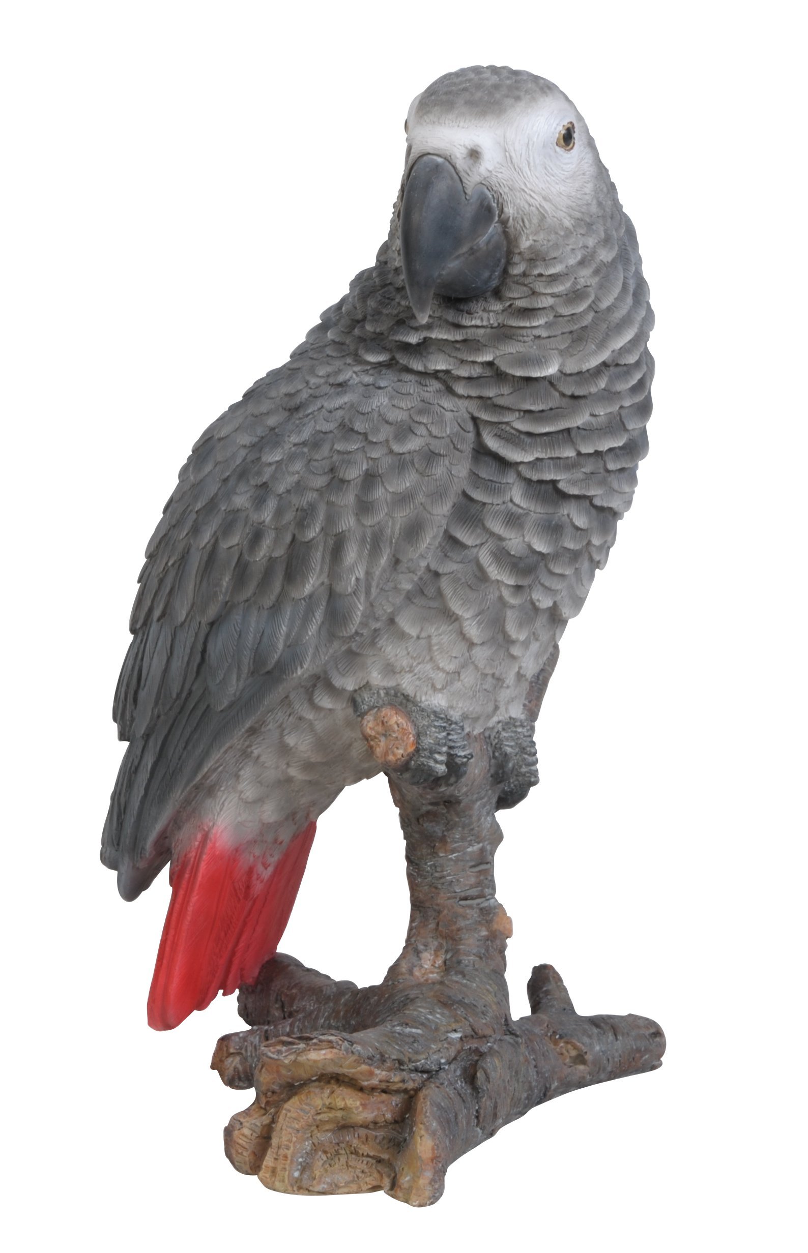 Vivid Arts XRL-AFGP-D African Parrot Resin Ornament - Grey