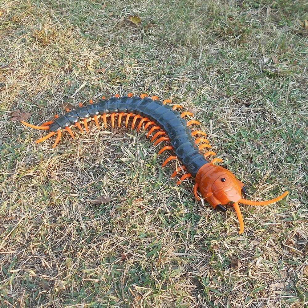 remote control centipede target