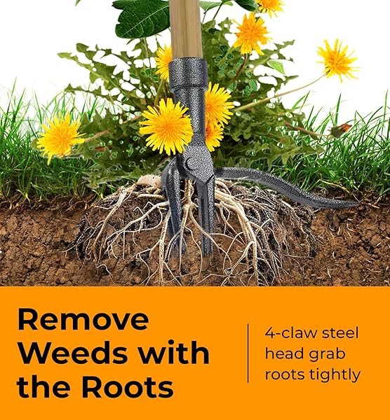 CRAFT911 STAND UP WEED PULLER TOOL WITH LONG HANDLE – DANDELION WEEDING TOOL, NO MORE BENDING