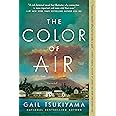 The Color of Air: A Novel