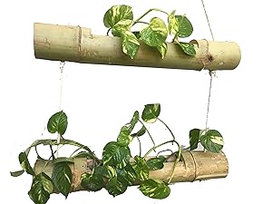NAOE Bamboo 2 Steps Hanging Planter (Brown)