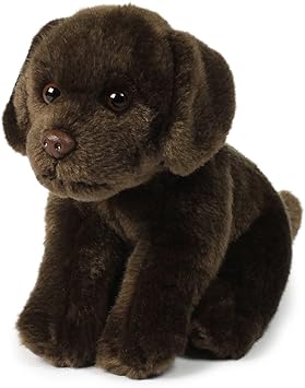 peluche labrador chocolate