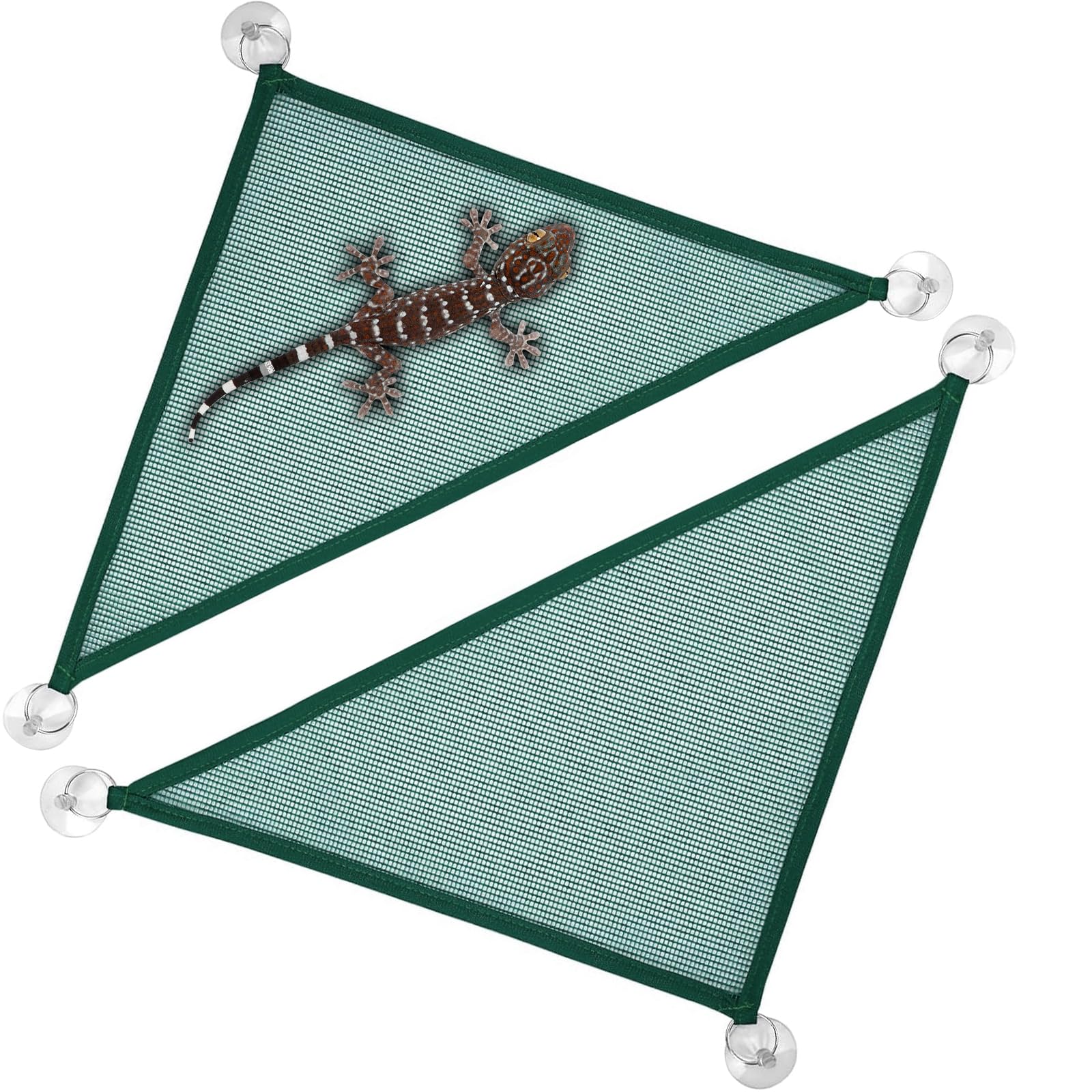 LICQIC 2 Packs Mesh Reptile Hammocks, Lizard ammock, Gecko Vivarium Hammock for Iguanas, Anoles, Geckos, Snakes, Chameleon (Green, L)