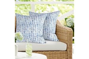 DYTXIII Pack of 2 Outdoor Waterproof Pillow Covers ONLY, Square Decorative Double Printed Pillow Cases for Patio Couch Porch Chairs (18 x 18 in,Pebble Blue)