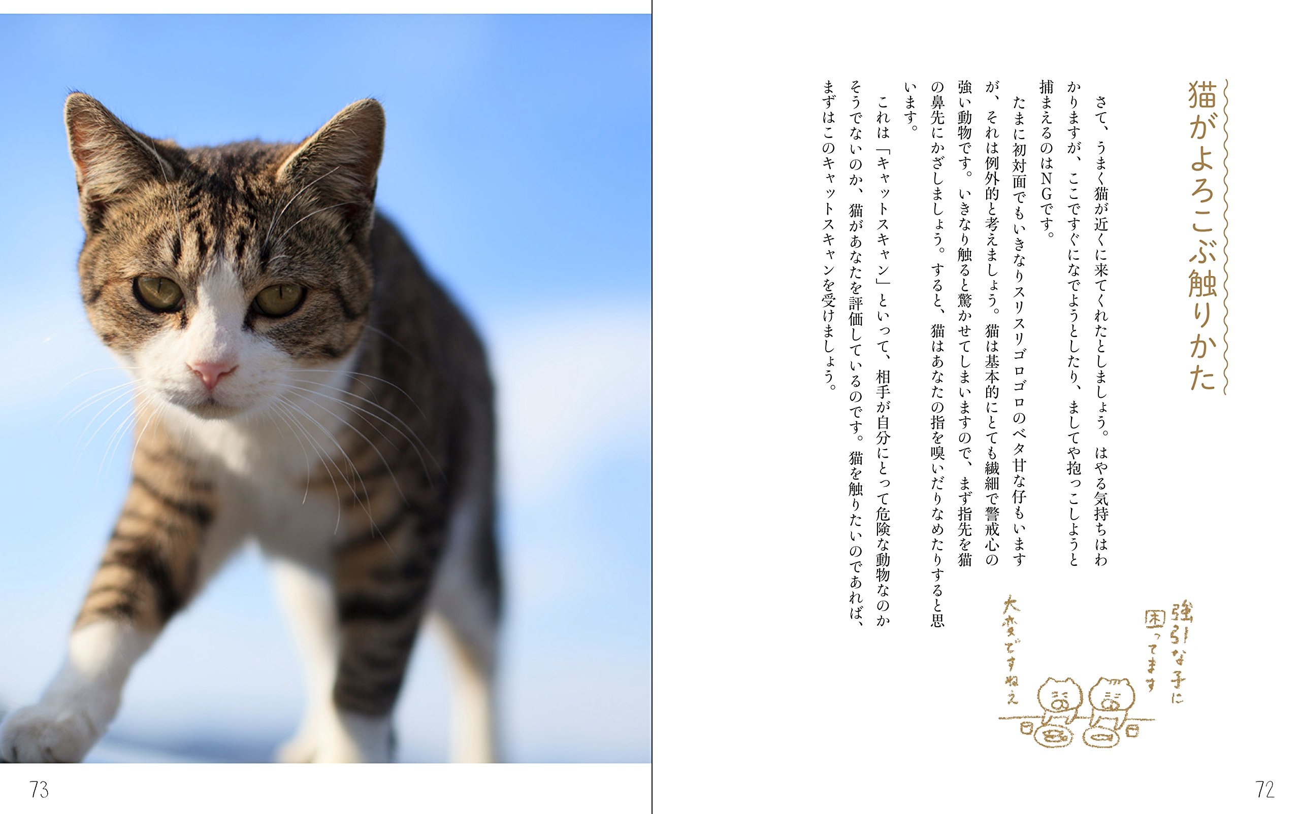ねこのゴロゴロセラピー Cdブック 山本 宗伸 今井杏 五十嵐 健太 本 通販 Amazon