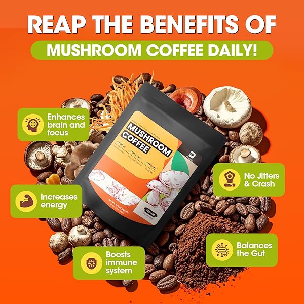 MUSHROOM COFFEE, 10 MUSHROOMS INSTANT COFFEE POWDER – LION’S MANE, REISHI, CHAGA, CORDYCEPS, TURKEY TAIL, SHIITAKE, ASHWAGANDHA, VITAMIN B12 / B6, ARABICA COFFE FOR IMMUNE BOOST, FOCUS & GUT HEALTH