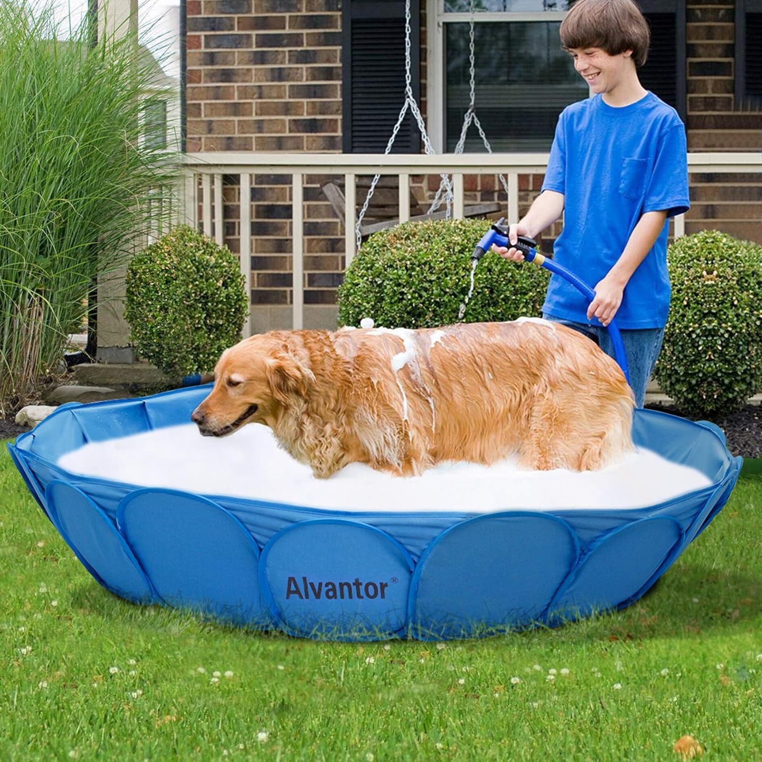 indoor swimming pool for dogs near me