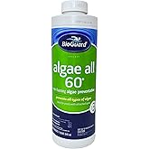 BioGuard Algae All 60-1 Quart, Non-Foaming Algae Preventative, Non-Staining & Non-Foaming, Ideal for Swimming Pools with Attached Spas or Fountains