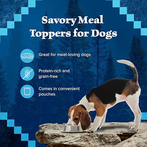 BLUE BUFFALO WILDERNESS TRAIL TOPPERS WILD CUTS WET DOG FOOD VARIETY PACK, HIGH-PROTEIN & GRAIN-FREE, MADE WITH NATURAL INGREDIENTS, CHICKEN AND BEEF FLAVORS, 3-OZ POUCHES, (12 COUNT, 6 OF EACH)