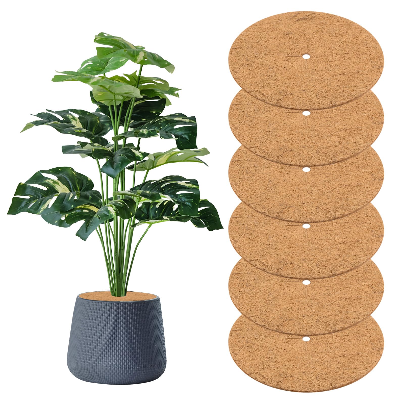 Photo 1 of M METERXITY 6-Pack Coconut Fibers Mulch Ring Tree Protector Mat, 23.6 Inch Tree Ring Mulch Mat for Indoor Outdoor Plants/Landscaping/Tree Protection Ring Plant Pot Soil Cover [Coconut Brown]