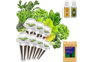 LYKOCLEAN LYKO Seed Pod for AeroGarden, Hydroponics Growing System, 350+ Seeds, Including American Fast Lettuce, Paris Island cos Lettuce, Buttercrunch Lettuce, Cauliflower, Swiss Chard, Wild Cabbage, Spinach