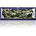 Phailozoo 85 Gallon Snake Enclosure, Front Opening Reptile Tank for Easy Maintenance, Reptile Terrarium with Top Screen Ventilation 48''x24''x18''