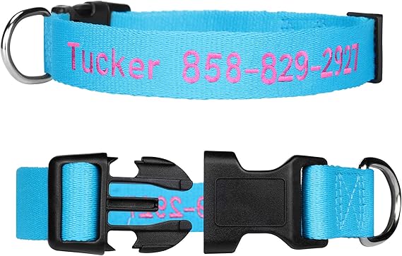 xxs dog collar