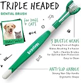 BUGALUGS Dental Care Kit for Dogs & Cats with Toothpaste & Brushes view 5