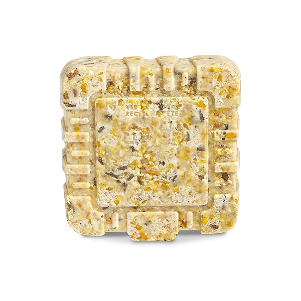 KAYTEE WILD BERRY HIGH ENERGY BIRD SUET, 11.75 OZ
