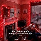 Ollny 10m 100 LED Red Fairy Lights Outdoor Waterproof with Remote view 2