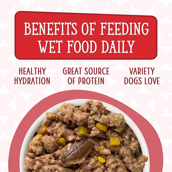 WERUVA DOGS IN THE KITCHEN, THE DOUBLE DIP WITH BEEF & WILD-CAUGHT SALMON AU JUS DOG FOOD, 2.8OZ POUCH (PACK OF 12), RED