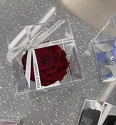 Acrylic Box Large Clear Display Boxes with Lid