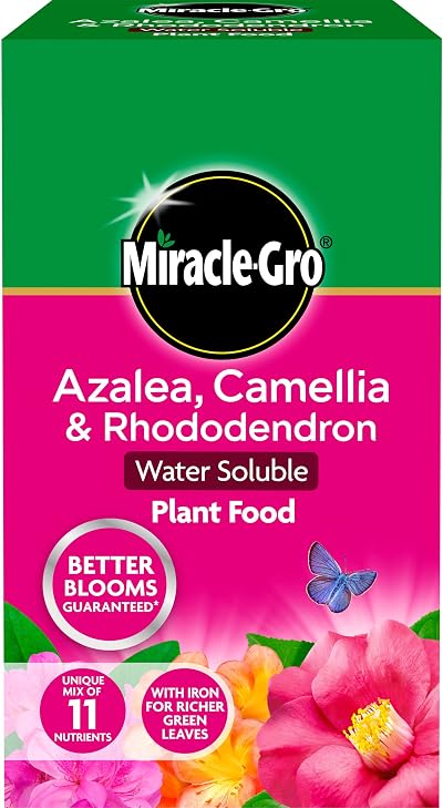 Miracle-Gro Azalea Camellia Rhododendron Soluble Plant Food 1 kg