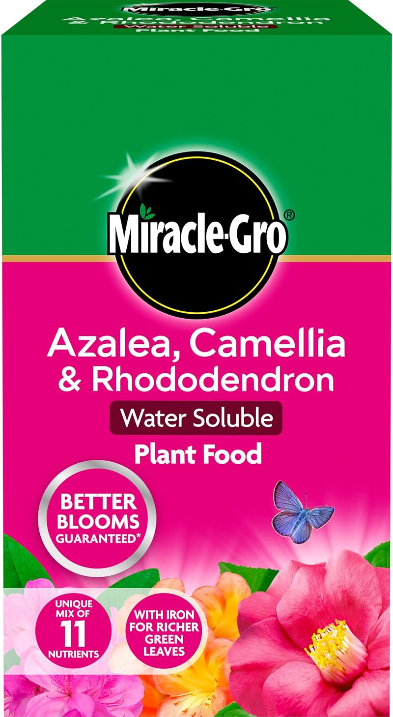 Miracle-Gro Azalea Camellia Rhododendron Soluble Plant Food 1 kg