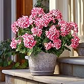 Artificial Geranium Flowers for Outdoors Geraniums Artificial Flowers Realistic Faux Geraniums for Planters Silk Geranium Indoor Fake Flowers Porch Home Kitchen Garden Decor No Vase(4PCS，Pink)