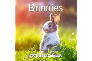 BLUE WOLF CALENDAR COMPANY 2026 Bunnies Monthly Wall Calendar | Cute Rabbit Animals Calendar 2025-2026