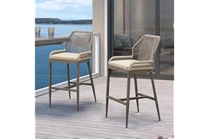 PURPLE LEAF Patio Sunbrella Bar Stools 28" H Set of 2 Handwoven Wicker Bar Height Stool Modern Aluminum High Bar Chairs Outdoor Wicker Barstools with Back and Cushion for Kitchen Pool Island
