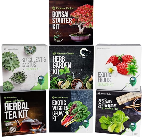 Kit de Cultivo de Cactus y Plantas Suculentas con Medidor de ...