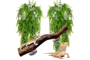 kathson Reptile Corner Branch Climbing Wood & Hanging Fake Plants,1 Reptile Branches & 2 Terrarium Plastic Plant, Bearded Dragons Tank Decor for Amphibians, Lizards, Geckos, Snakes, Frogs, Hermit Crab