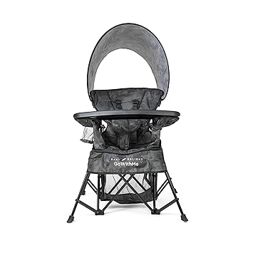 baby delight portable chair
