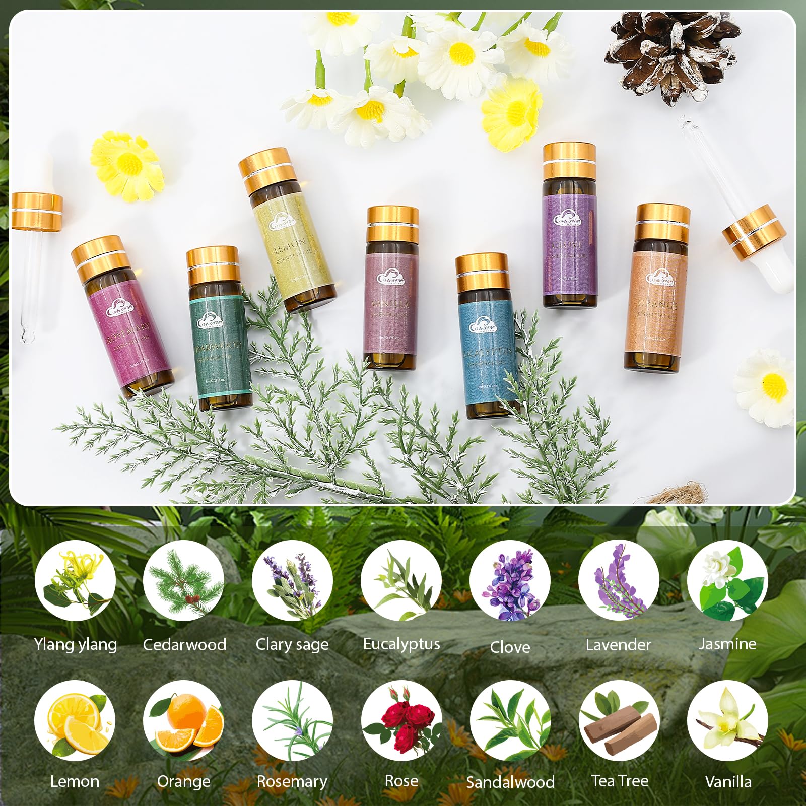 Fragrance Essential Oils Set - 14pcs, Aromatherapy Oils for Skin, Diffusers, Home Care, Humidifier Laundry, Candle Making - Tea Tree, Sandalwood, Lavender, Vanilla, Eucalyptus and More (5mL) - Image 4