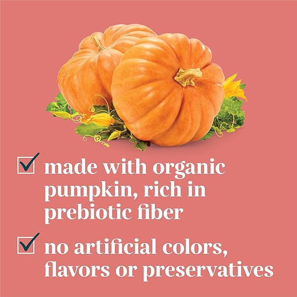 EVERROOT DOG SUPPLEMENTS POWERED BY PURINA DIGESTION CHEWABLE TABLETS WITH PUMPKIN – 4.23 OZ. CANISTER