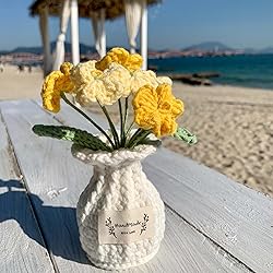 YOOJEE Crochet Flower Pot Forget-me-not for Lover