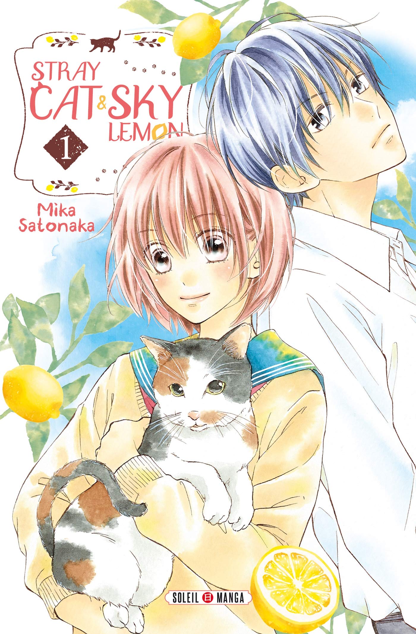 Stray Cat And Sky Lemon T01 Amazon Co Uk Satonaka Mika Satonaka Mika Books