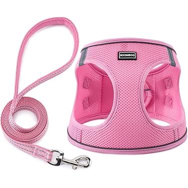 15 foot rope dog leash BAT Leash 15 Feet (5 Meters): 1/2 inch (117) main image 1