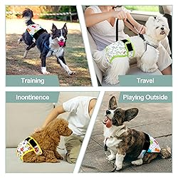 Grecle Washable Female Dog Diapers - Premium