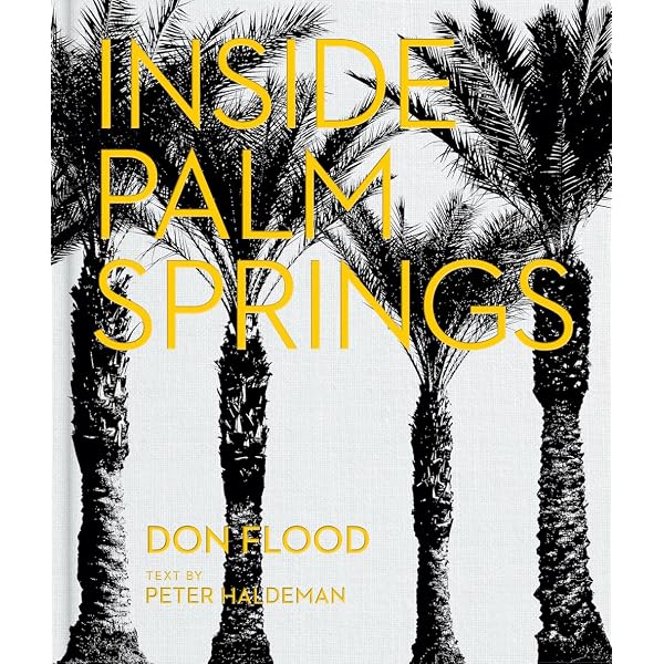 Julius Shulman: Palm Springs: Michael Stern, Alan Hess