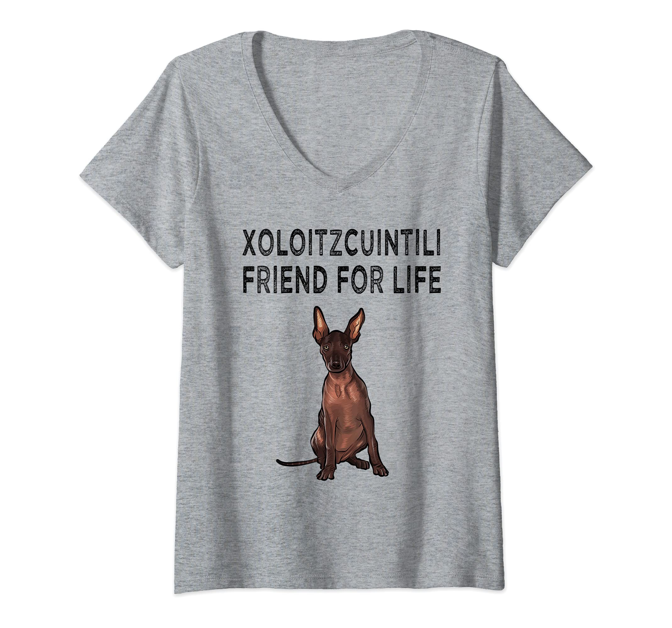 Womens Xoloitzcuintli Friend For Life Dog Friendship V-Neck T-Shirt
