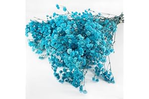 Birtlynn Preserved Baby's Breath, 100% Natrual Gypsophila Long Lasting Flowers for Vase Arrangements Home Decoration Photo Props Parties and Weddings, DIY Décor-Blue