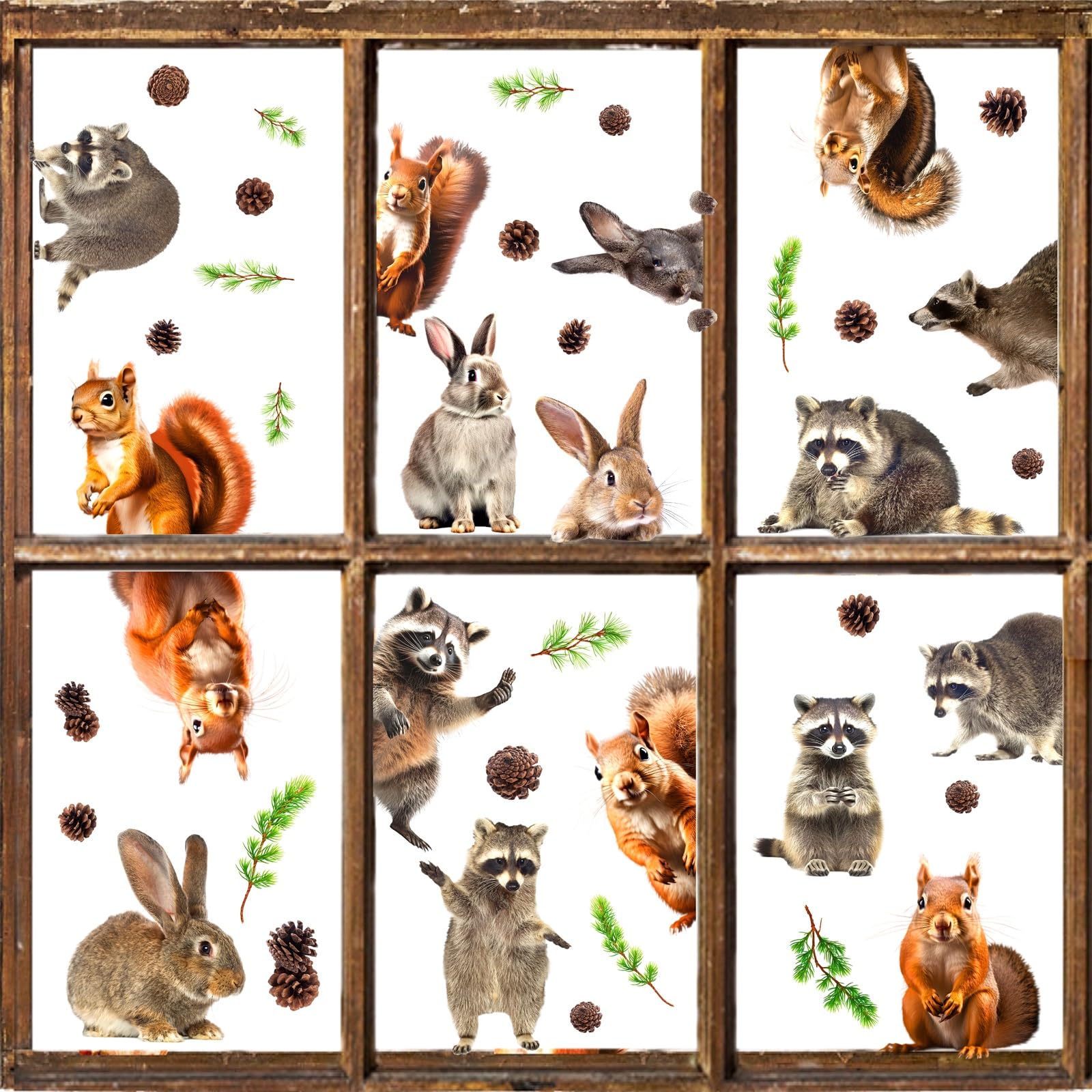 Photo 1 of Woodland Animal Window Decal Funny Squirrel Window Decals Clings Cute Animals Wall Stickers Raccoon Rabbit Windows Stickers Funny Animal Windows Stickers for Kids Room Nursery