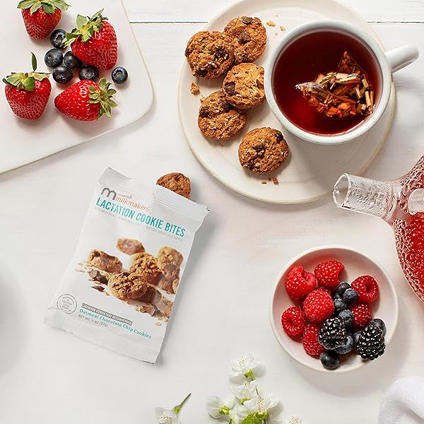 MUNCHKIN MILKMAKERS LACTATION COOKIE BITES, OATMEAL CHOCOLATE CHIP, 10 CT