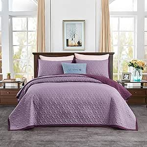 Amazon.com: CHIXIN Queen Size Bedspread Coverlet Set - Lightweight Thin Comforter Bedding Cover 